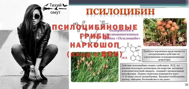 Псилоцибиновые грибы Psilocybine cubensis  цена   Татарск 